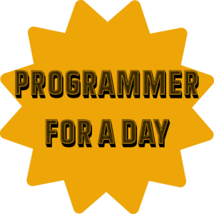 Programmer For a Day